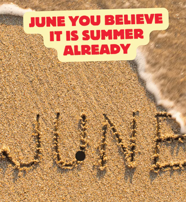 129 Best June Puns to Start Your Summer with a Smile 2 Best June Puns