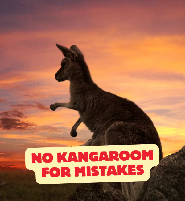 185 Kangaroo Puns That will Jump Right Into Your Heart 2 Best Kangaroo Puns