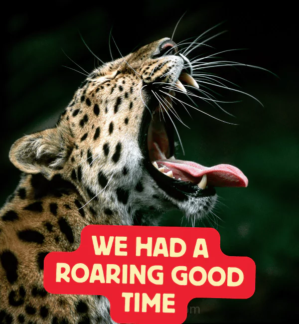126 Leopard Puns That will Make You Spot the Fun Fast 2 Best Leopard Puns