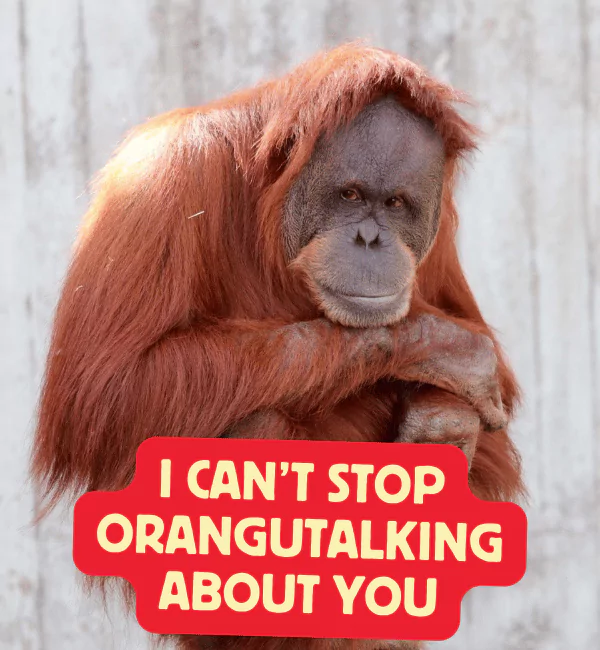 102 Orangutan Puns That will Go Bananas With Laughter 2 Best Orangutan Puns