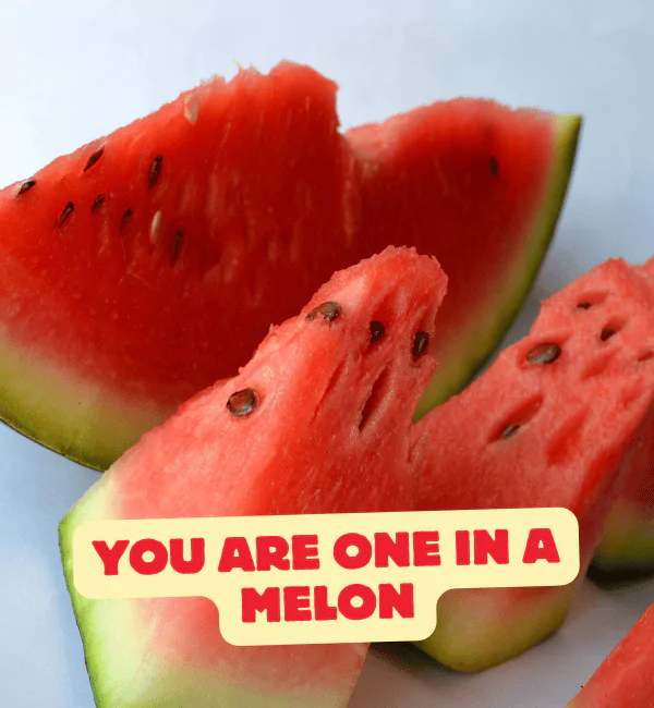240 Summer Puns That will Totally Make Your Season Sizzle 3 Best Summer Puns