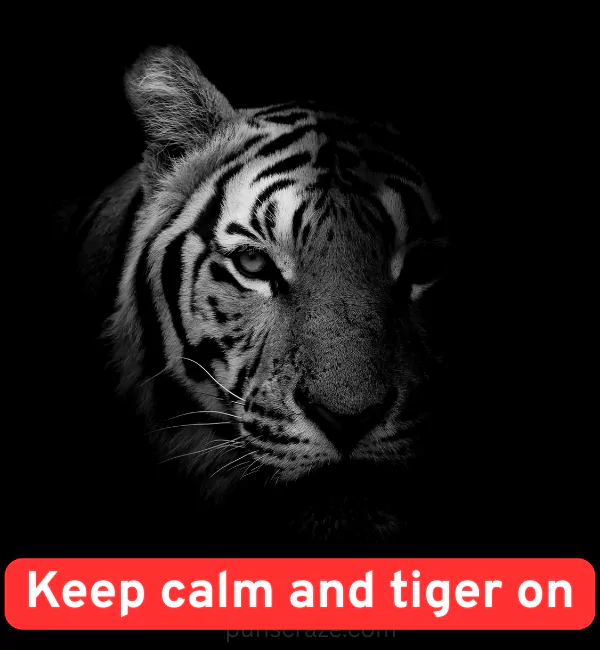 166 Best Tiger Puns for Instagram Birthdays and More 2 Best Tiger Puns