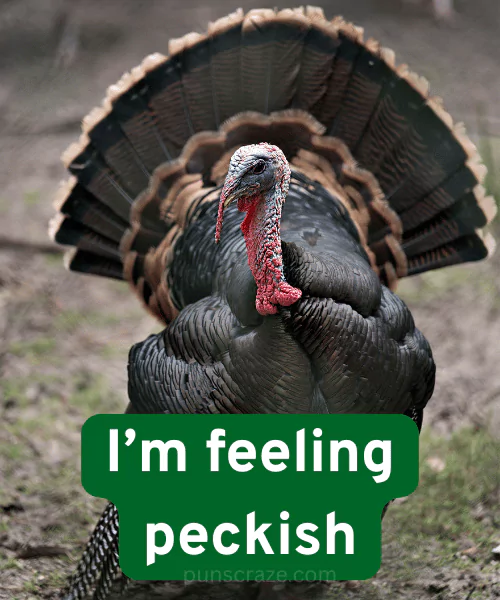 152 Turkey Puns to Make You Gobble with Laughter 2 Best Turkey Puns