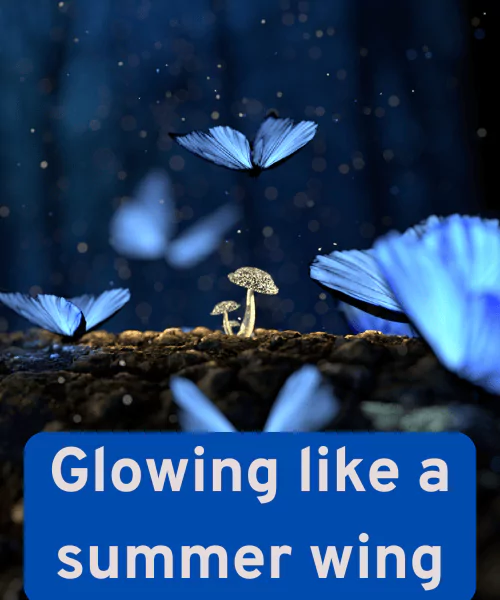 200+ Best Butterfly Puns That Make You Smile 6 Butterfly Puns Captions