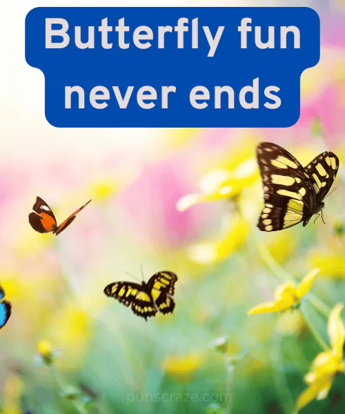 200+ Best Butterfly Puns That Make You Smile 4 Butterfly Puns for Kids