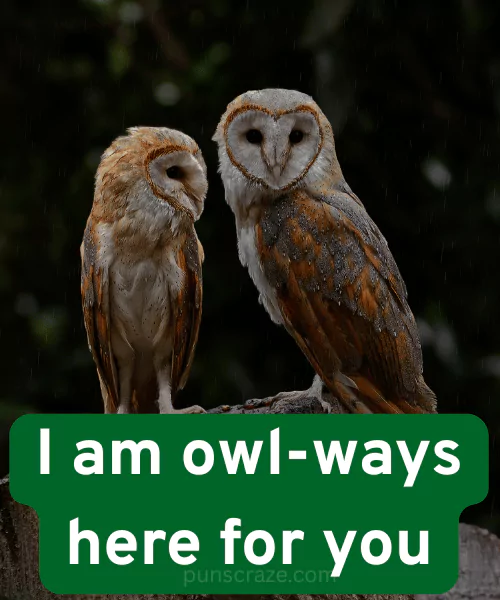 200+ Best Owl Puns for Every Occasion 3 Cute Owl Puns