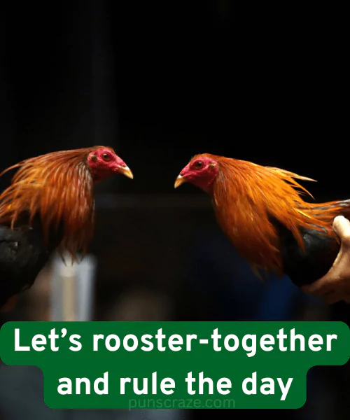118 Rooster Puns That Will Have You Clucking with Laughter 3 Cute Rooster Puns