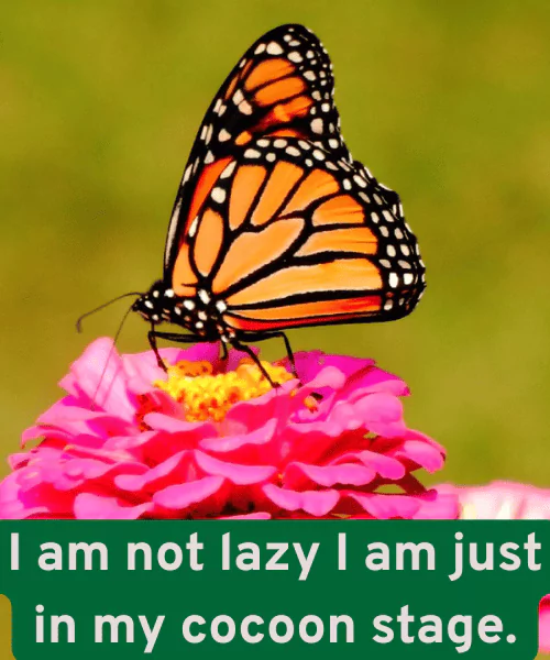 200+ Best Butterfly Puns That Make You Smile 3 Funny Butterfly Puns