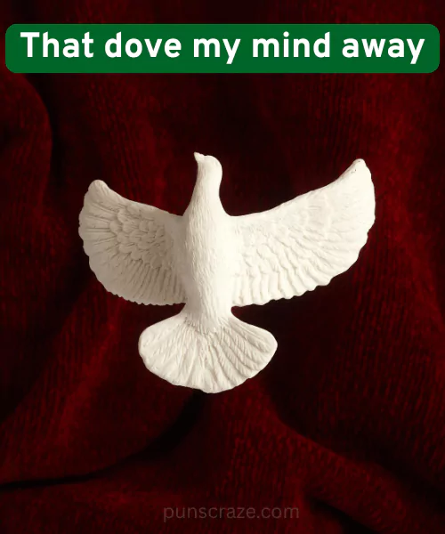 117 Dove Puns to Spread Some Love and Laughter 3 Funny Dove Puns