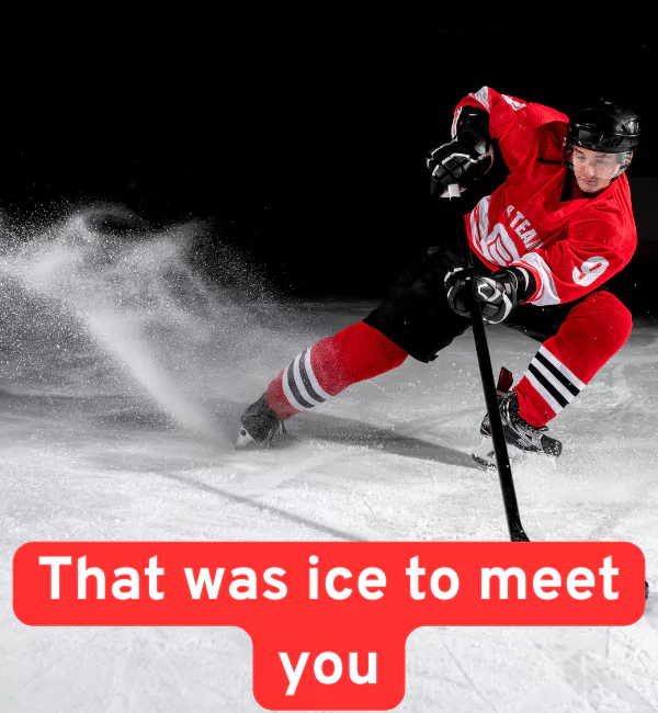 166 Best Hockey Puns - Funny Short Ice & Field Hockey Puns 3 Funny Hockey Puns