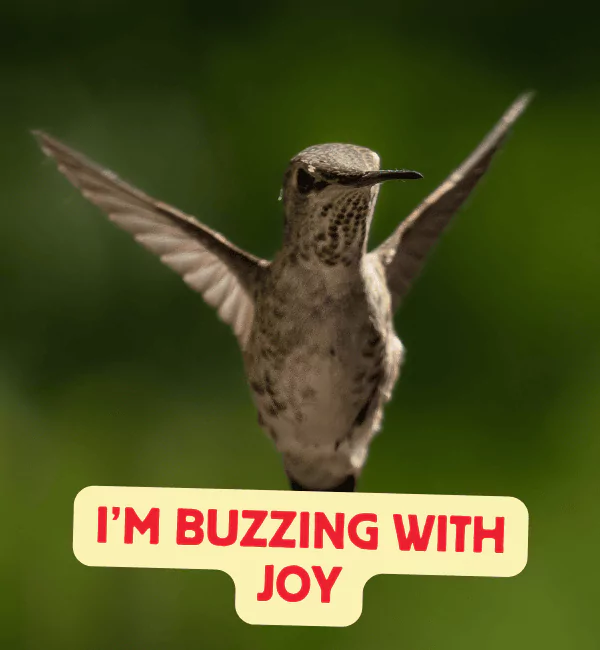 Funny Insects Puns