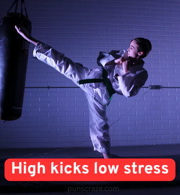 89 Taekwondo Puns That Will Kick Up Some Fun 2 Funny Taekwondo Puns