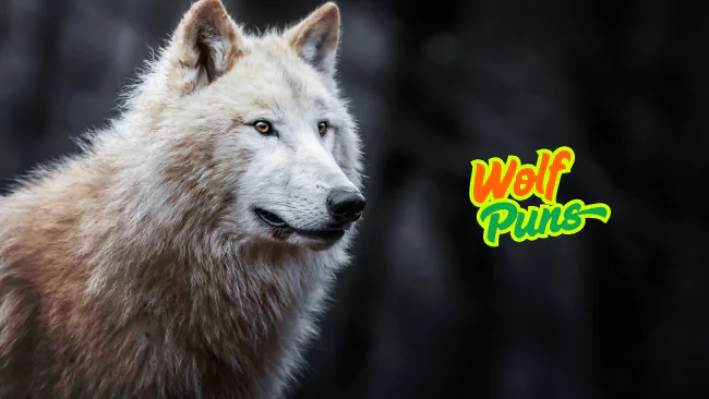 Wolf Puns