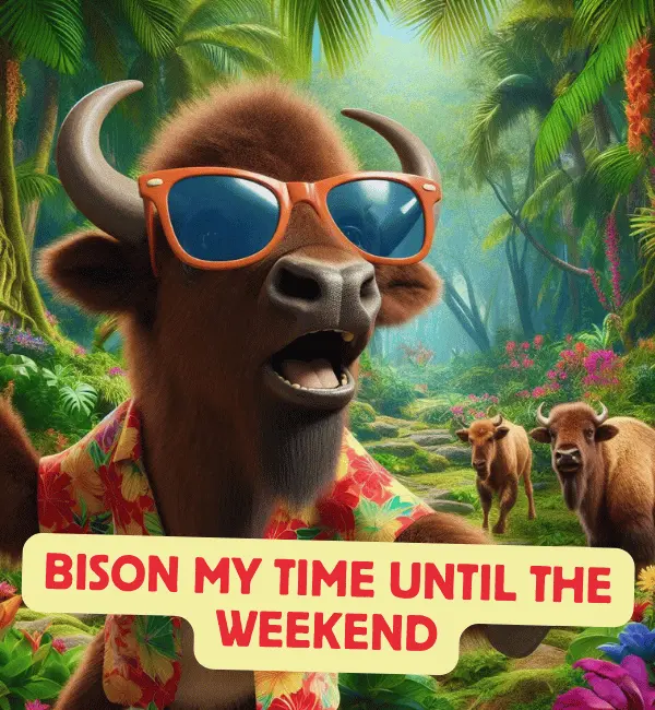 152 Bison Puns That Will Make You Laugh and Groan 2 Best Bison Puns