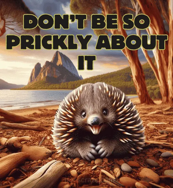 123 Echidna Puns That will Prickle You With Laughter 2 Best Echidna Puns