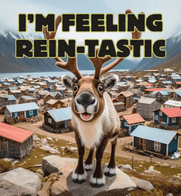133 Reindeer Puns That Sleigh Funny Cute and Instagram-Worthy 2 Best Reindeer Puns
