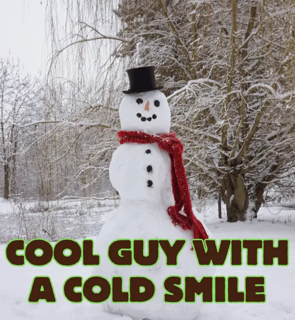 166+ Best Snowman Puns That Will Melt Your Heart 2 Best Snowman Puns