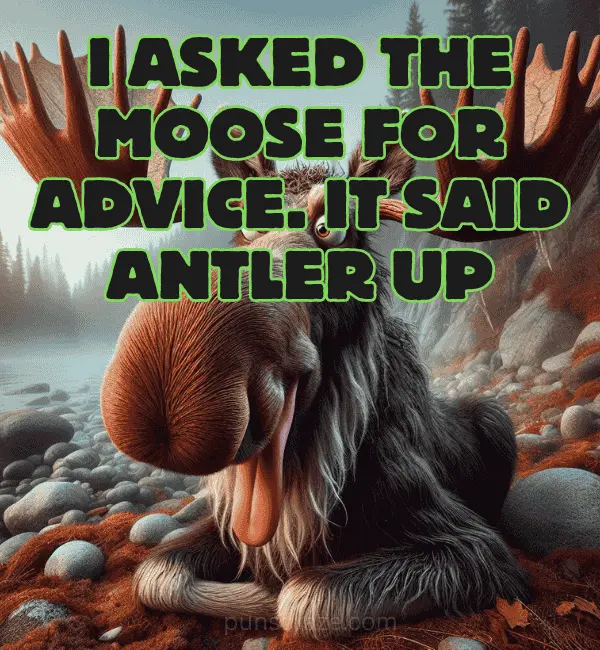 166 Moose Puns That Will Leave You Chuckling 3 Funny Moose Puns