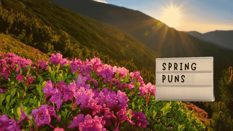 200+ Spring Puns to Make Your Season Bloom 1 Spring Puns