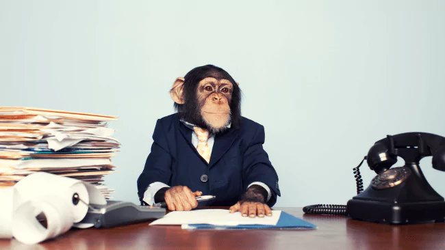 139 Ape Puns That will Make You Laugh Like a Chimp 1 Ape Puns