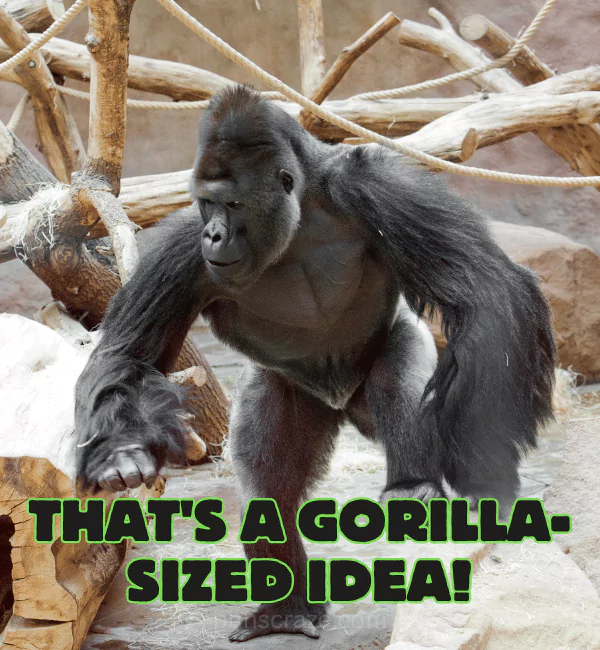 139 Ape Puns That will Make You Laugh Like a Chimp 2 Best Ape Puns