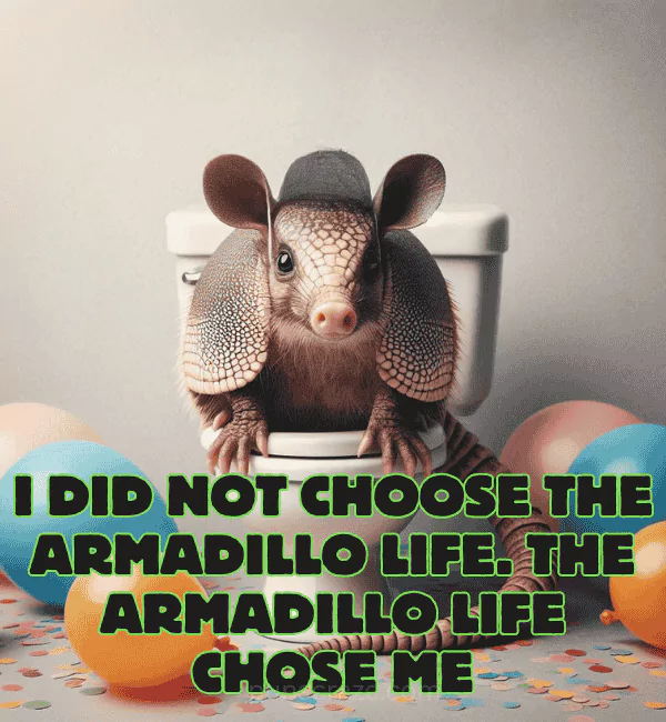 158 Armadillo Puns That will Crack Your Shell 2 Best Armadillo Puns