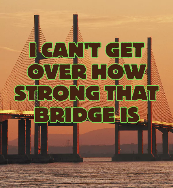 139 Bridge Puns That will Have You Crossing Into Laughter 2 Best Bridge Puns