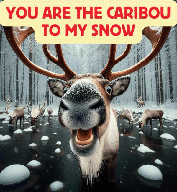 100 Caribou Puns That Will Make You Laugh and Caption Like a Pro 2 Best Caribou Puns