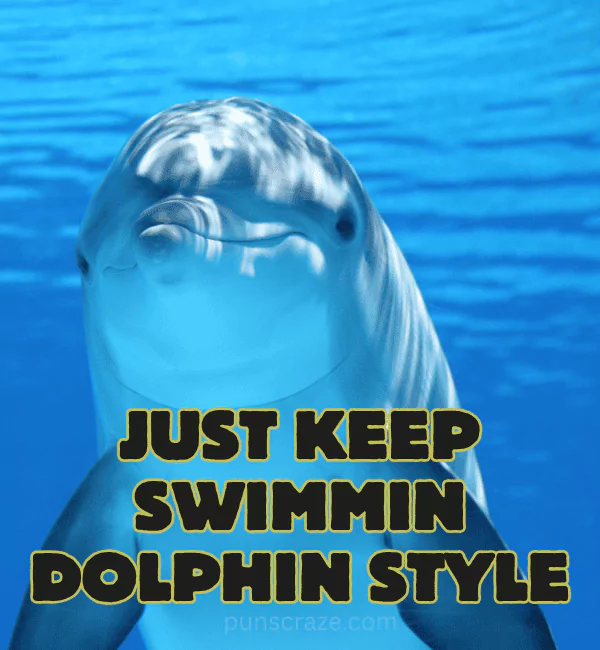 173 Dolphin Puns That Will Have You Flippin Laughing 2 Best Dolphin Puns