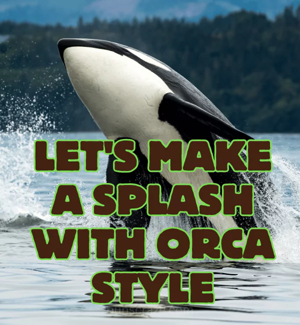 179 Orca Puns That will Whale-y Make You Laugh Out Loud 2 Best Orca Puns