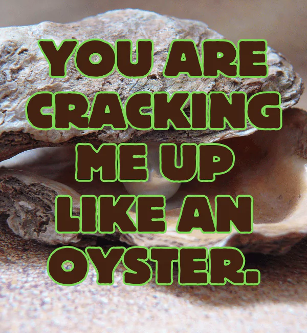 181 Oyster Puns That Will Crack You Up 2 Best Oyster Puns