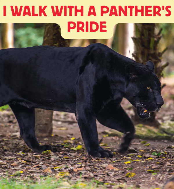 165 Panther Puns That will Make You Roar with Laughter 2 Best Panther Puns
