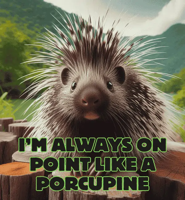 121 Porcupine Puns That Will Make You Quill With Laughter 2 Best Porcupine Puns