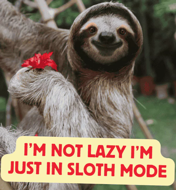210 Sloth Puns That Are Hilariously Slow but Worth the Wait 2 Best Sloth Puns