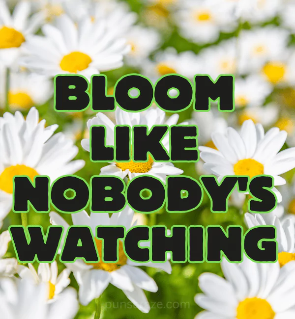 200+ Spring Puns to Make Your Season Bloom 2 Best Spring Puns