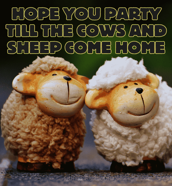 115 Sheep Puns That Are Baa-rilliantly Funny 5 Birthday Sheep Puns