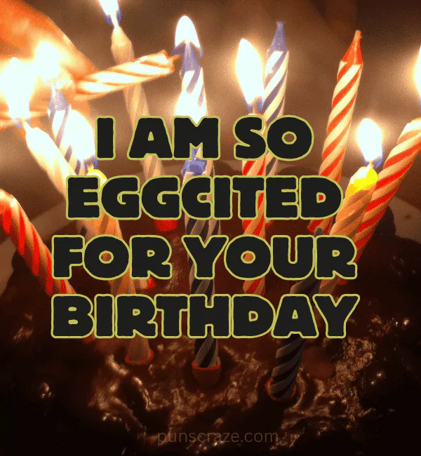 Funny Birthday Puns