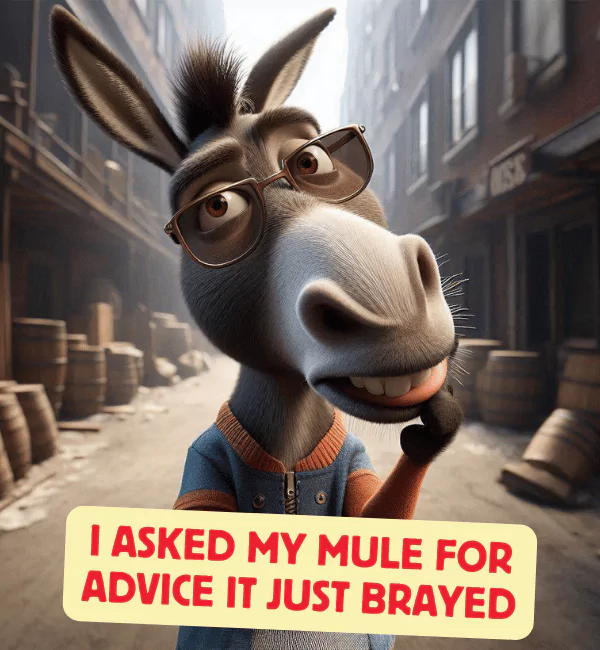 140 Mule Puns That will Kick Up Laughs and Likes 3 Funny Mule Puns