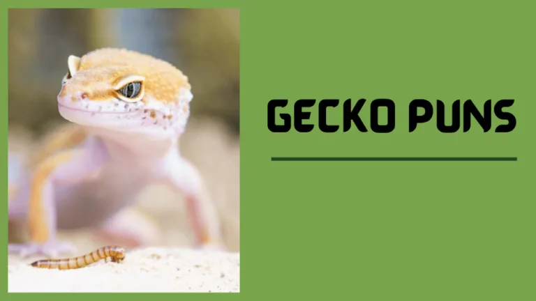 Gecko Puns