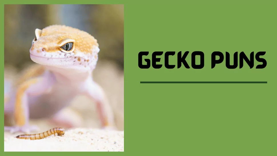Gecko Puns