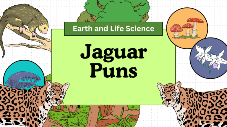 Jaguar Puns