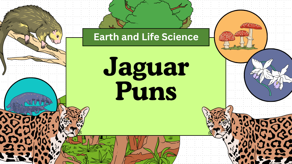 80+ Jaguar Puns That will Make You Roar With Laughter 1 Jaguar Puns