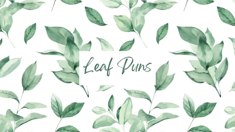 200+ Leaf Puns to Make You Fall Over Laughing 8 Leaf Puns