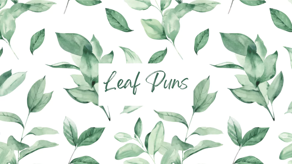 200+ Leaf Puns to Make You Fall Over Laughing 1 Leaf Puns
