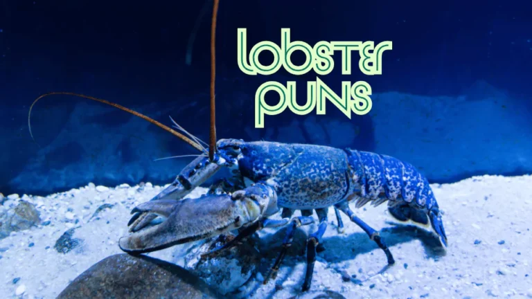 Lobster Puns