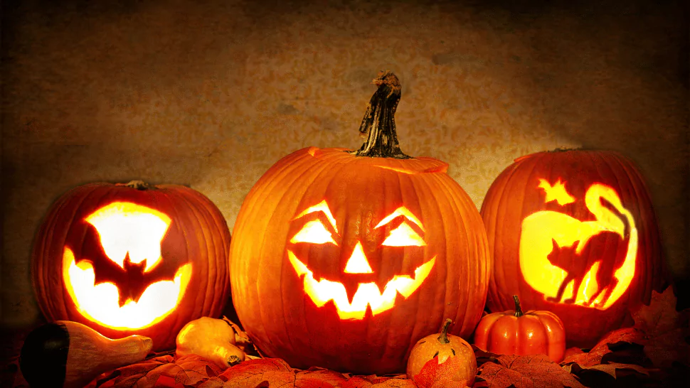 Pumpkin Puns