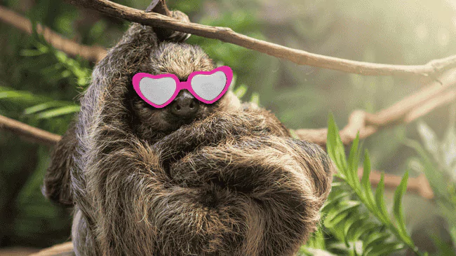 210 Sloth Puns That Are Hilariously Slow but Worth the Wait 1 Sloth Puns