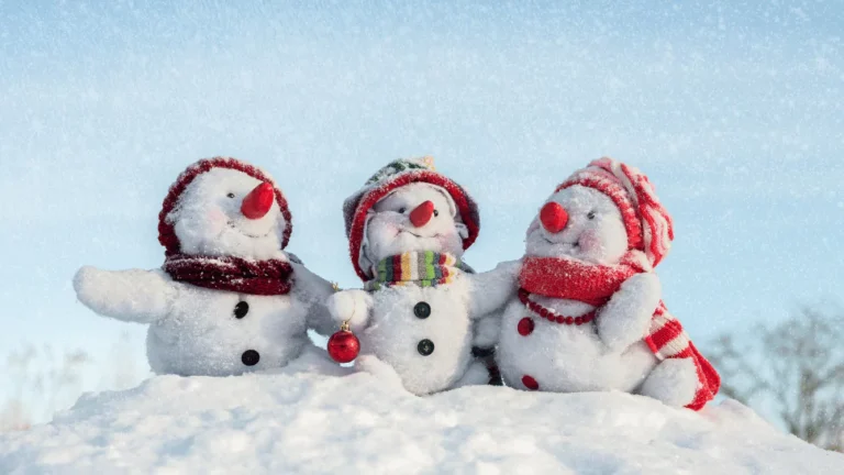 Snowman Puns