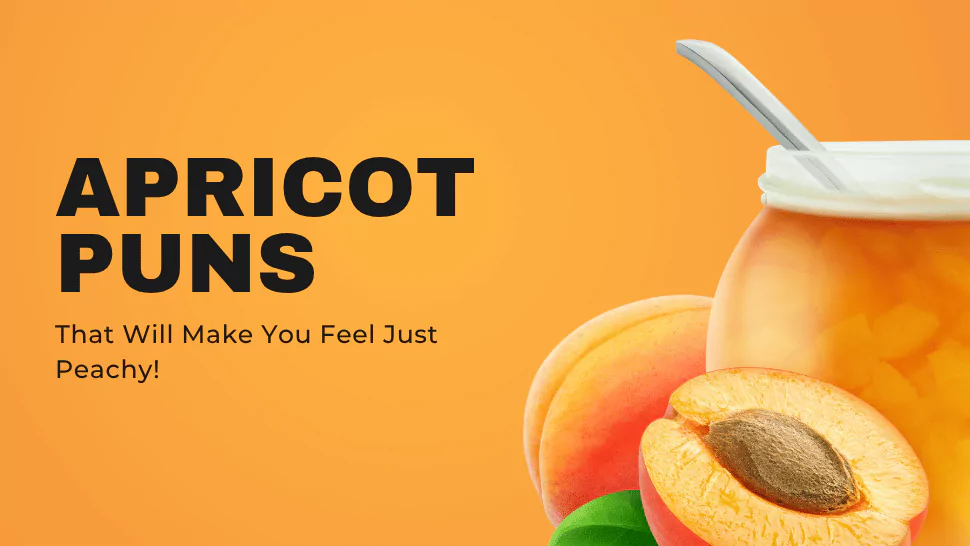 121 Apricot Puns That Will Make You Feel Just Peachy! 1 Apricot Puns