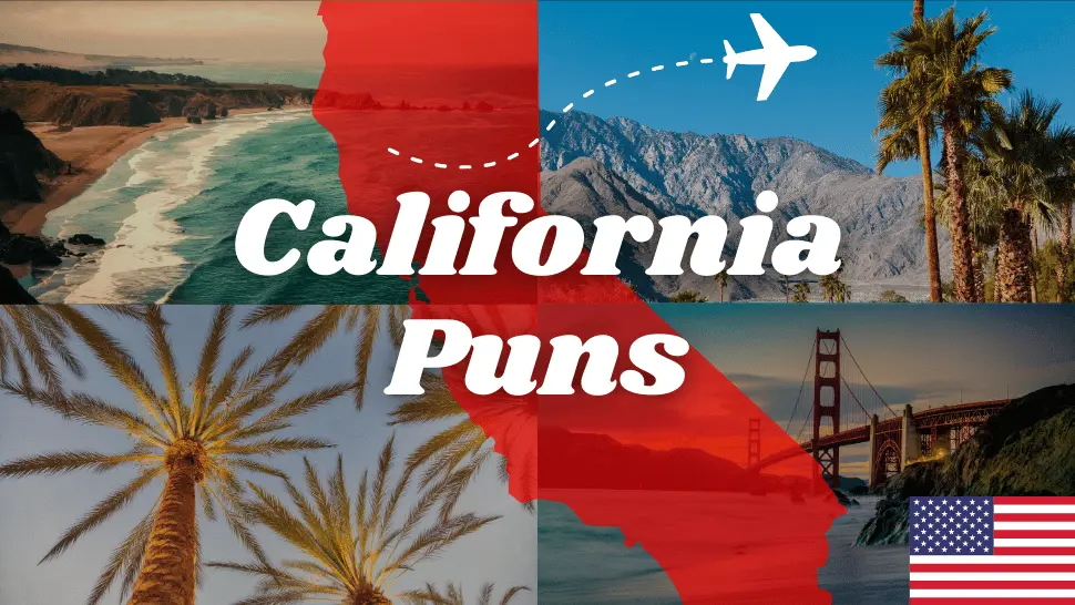 199 California Puns That Will Make Your Day Sunny 1 California Puns